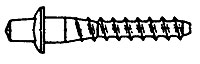 CAVIGLIE