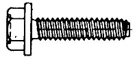 TE TRILOBATA